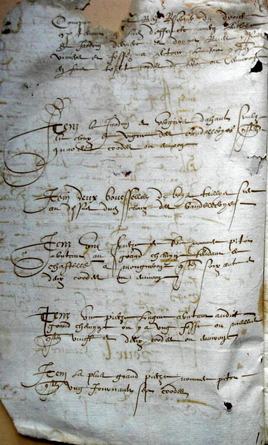 Thieurine_1589 (2).JPG